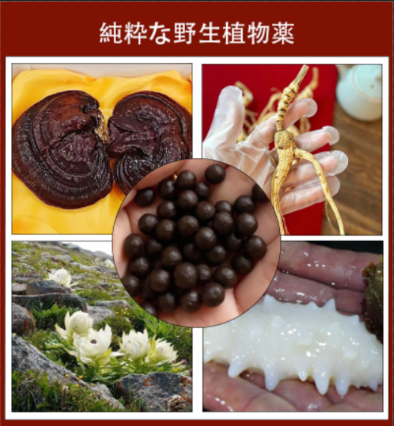 微信图片_20250505195250.png