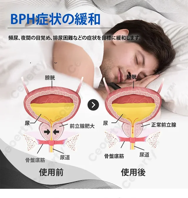 24.webp